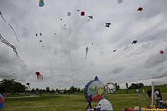 Venice kite festival_0325